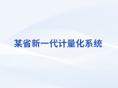 某省新一代计量化系统